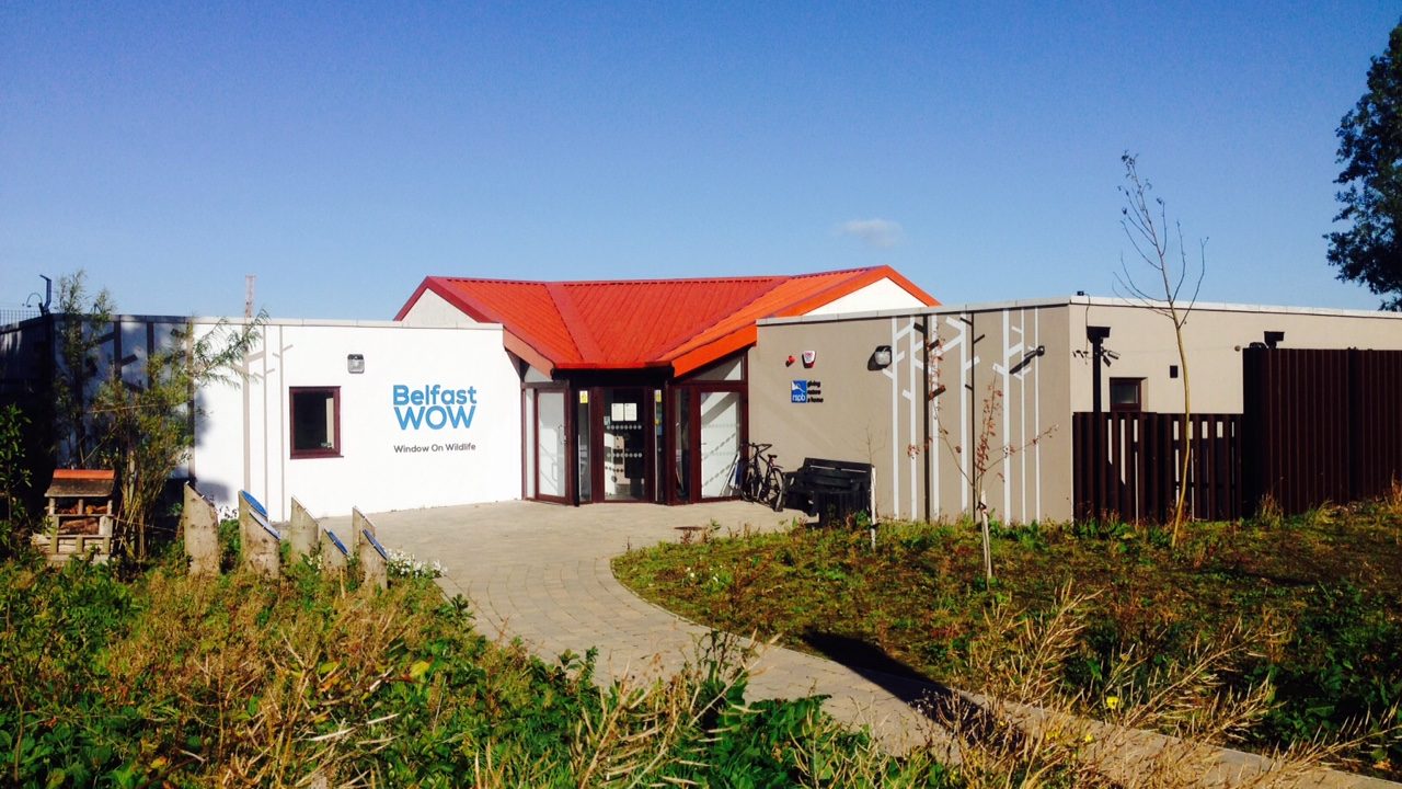 Belfast Window on Wildlife RSPB NI Maritime Mile