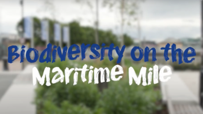 Greening the Maritime Mile