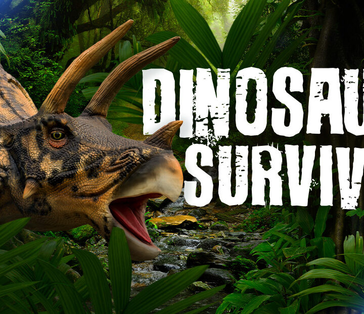 Dinosaurs Survive!