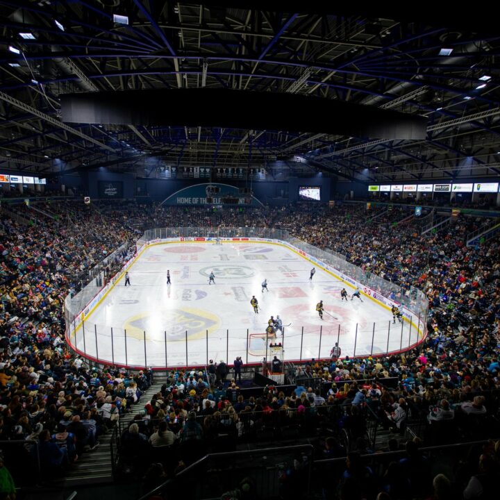 Belfast Giants vs Fife Flyers, SSE Arena, Belfast