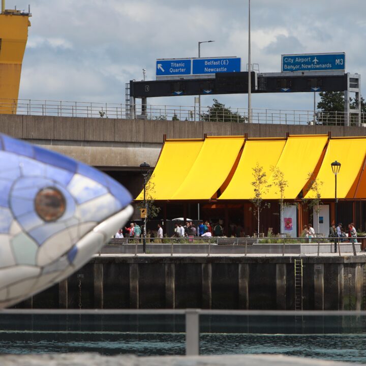 Native’s 1st Birthday