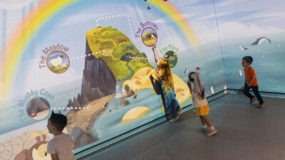 A Puffin Rock Easter