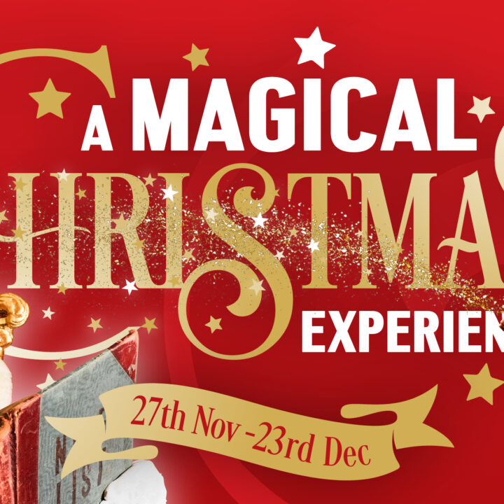 A Magical Christmas Experience